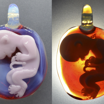Baby in womb pendant