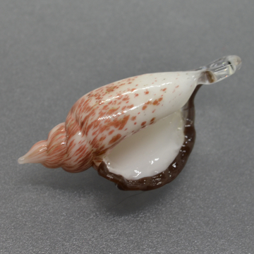 Brown and white Small Sea Shell Pendant