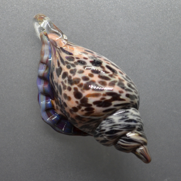 Multicolored and white Sea Shell Pendant