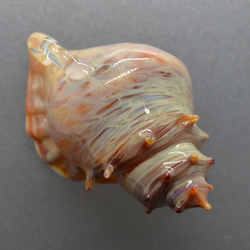 Amber and white Sea Shell Pendant