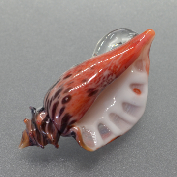 Red, Black and white Sea Shell Pendant